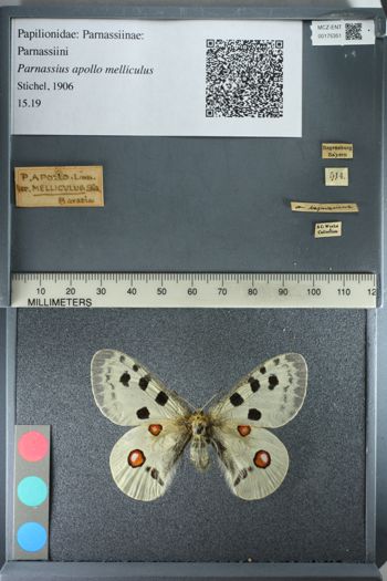 Media type: image;   Entomology 175351